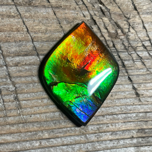 Rainbow Ammolite Gemstone, Freeform Cabochon, Canadian Ammonite Fossil