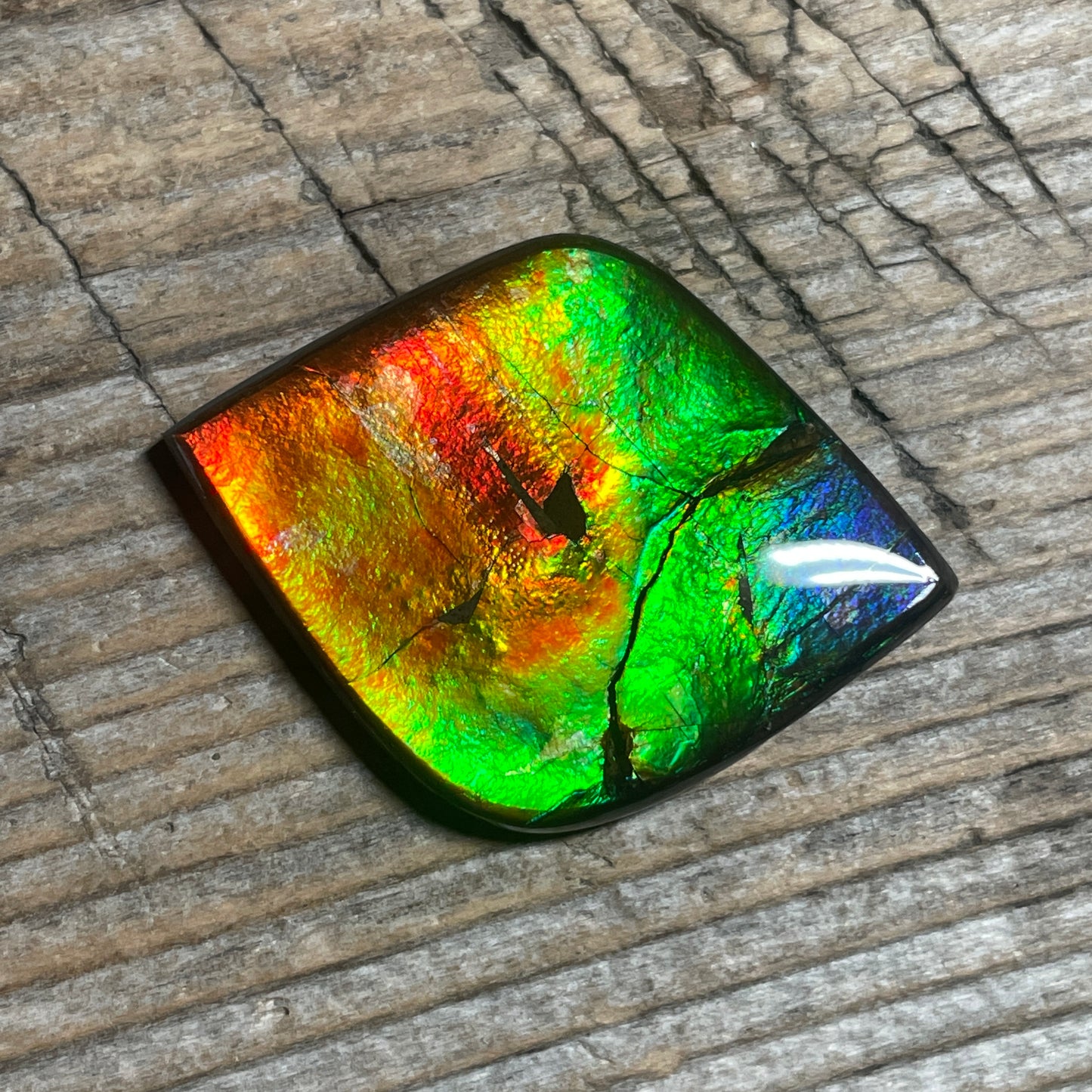 Rainbow Ammolite Gemstone, Freeform Cabochon, Canadian Ammonite Fossil