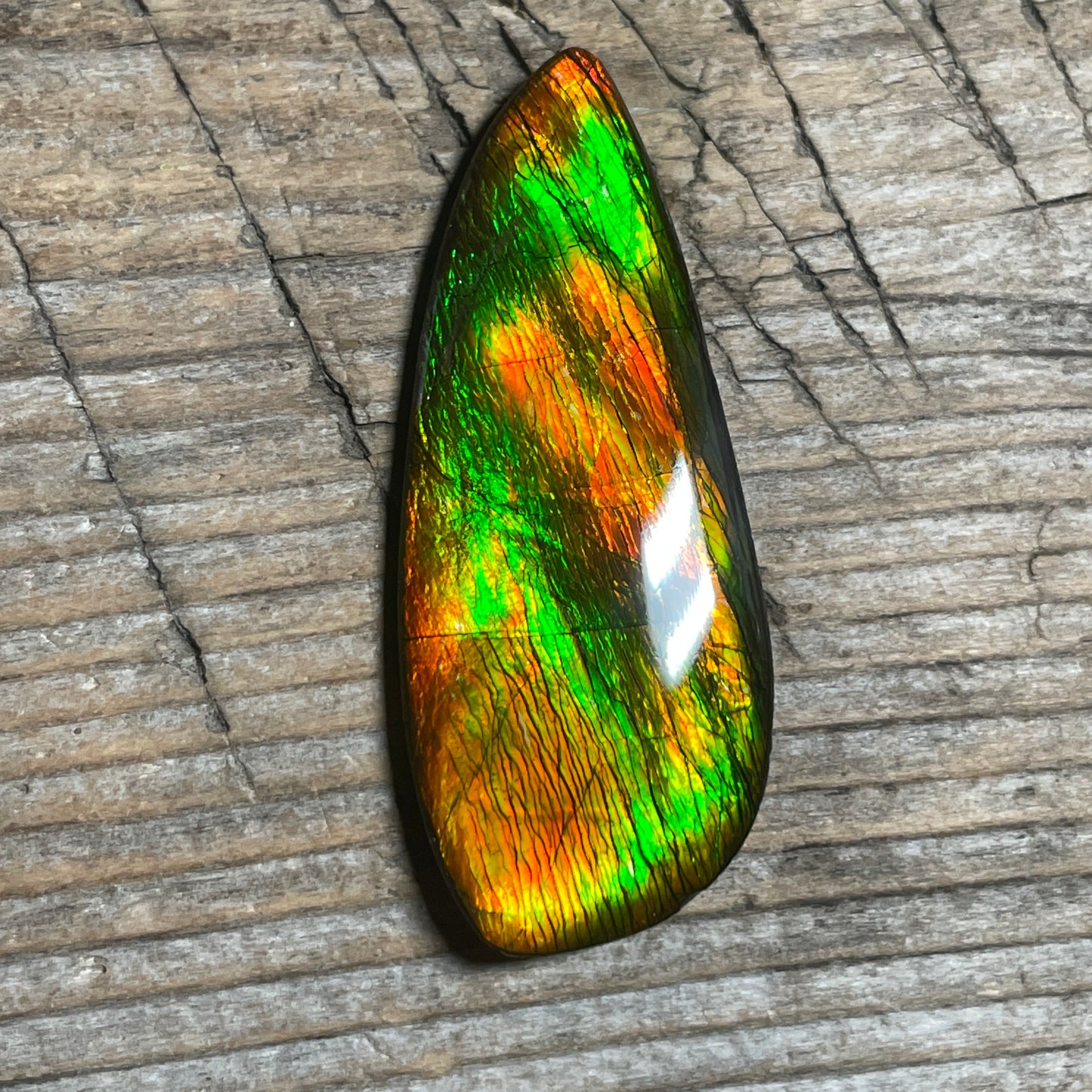 Bright Ammolite Cabochon, Genuine Canadian Ammonite Fossil Jewelry