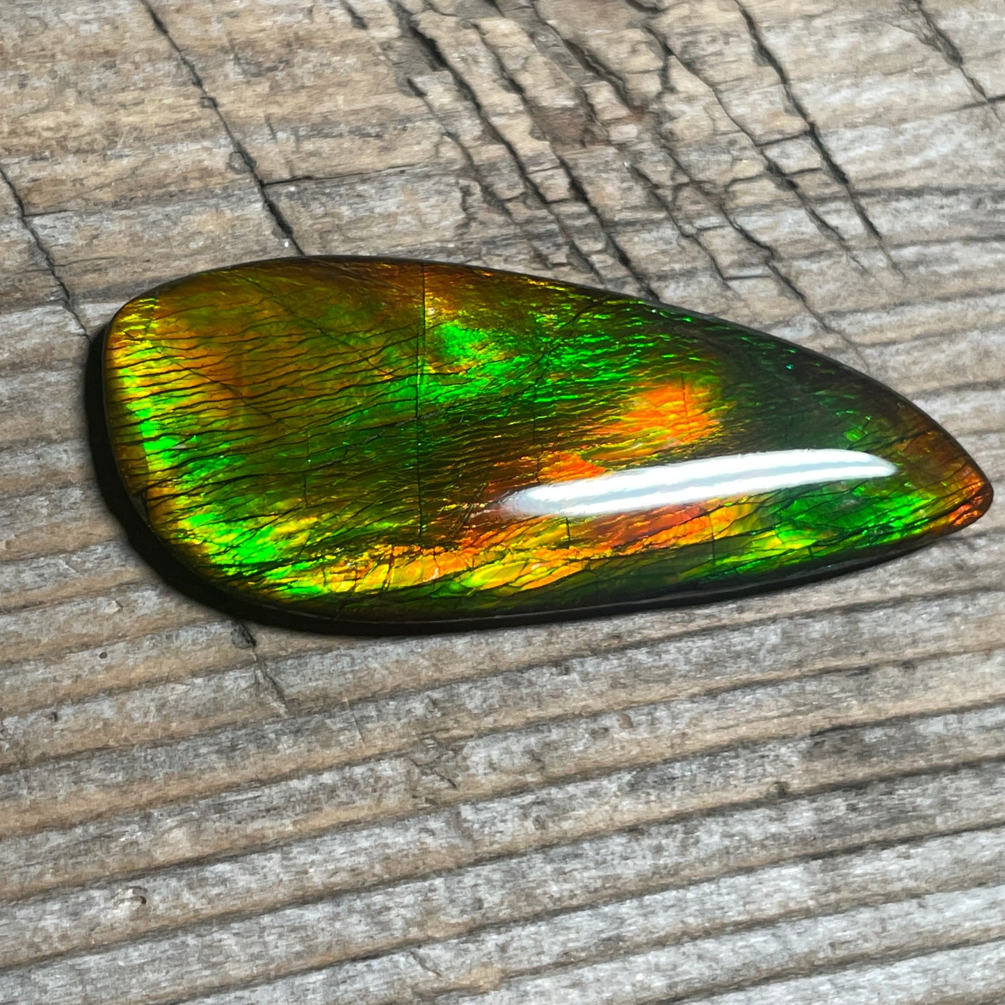 Bright Ammolite Cabochon, Genuine Canadian Ammonite Fossil Jewelry