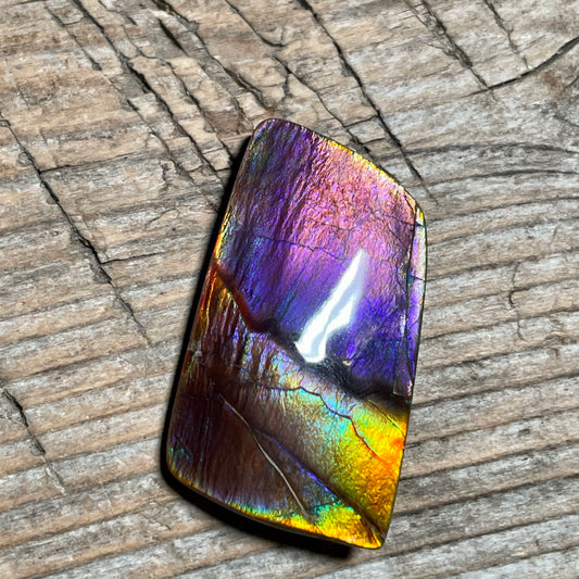 Collector's Special! Rare Pink Polished Ammolite Freeform Cabochon, Genuine Alberta Ammonite Gemstone