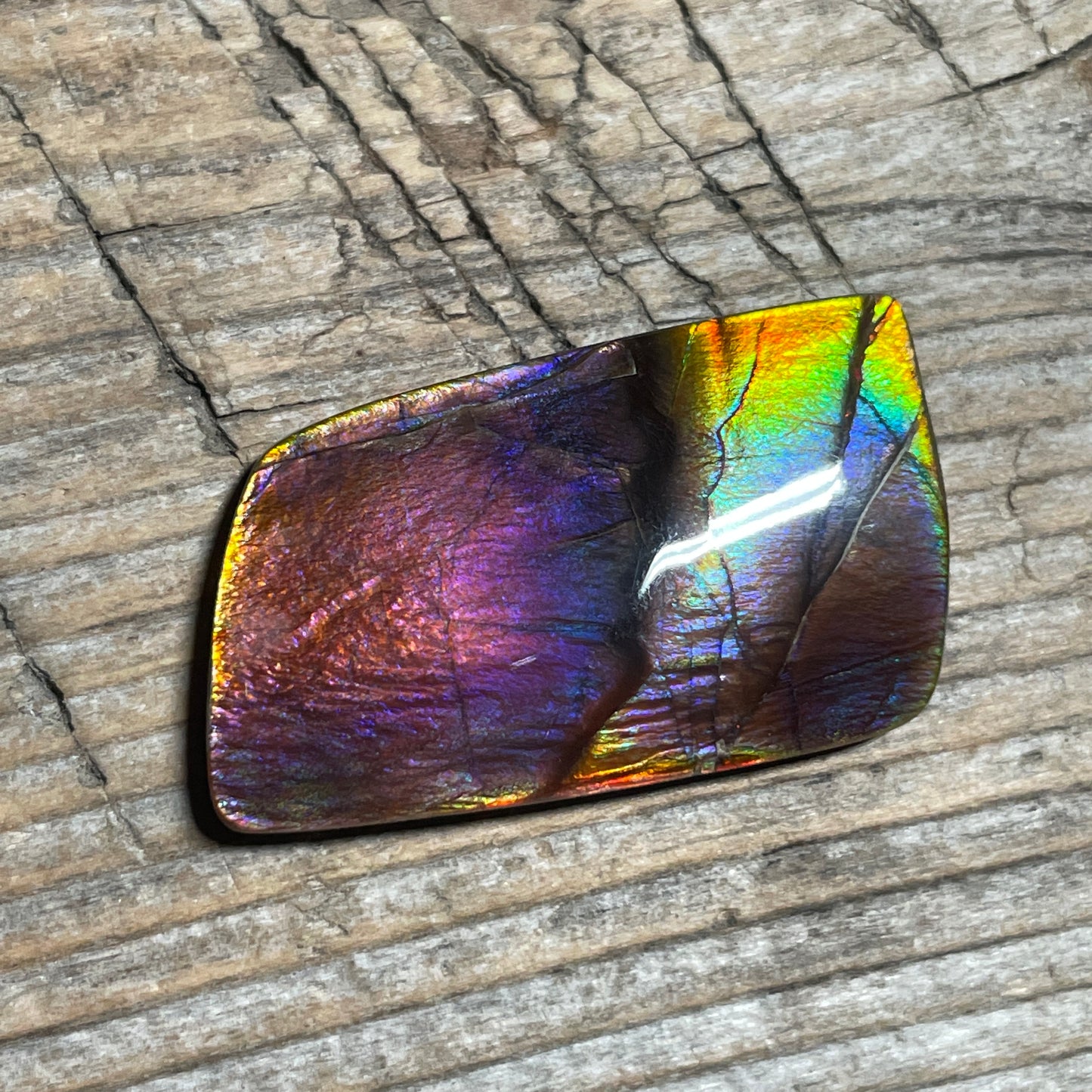 Collector's Special! Rare Pink Polished Ammolite Freeform Cabochon, Genuine Alberta Ammonite Gemstone