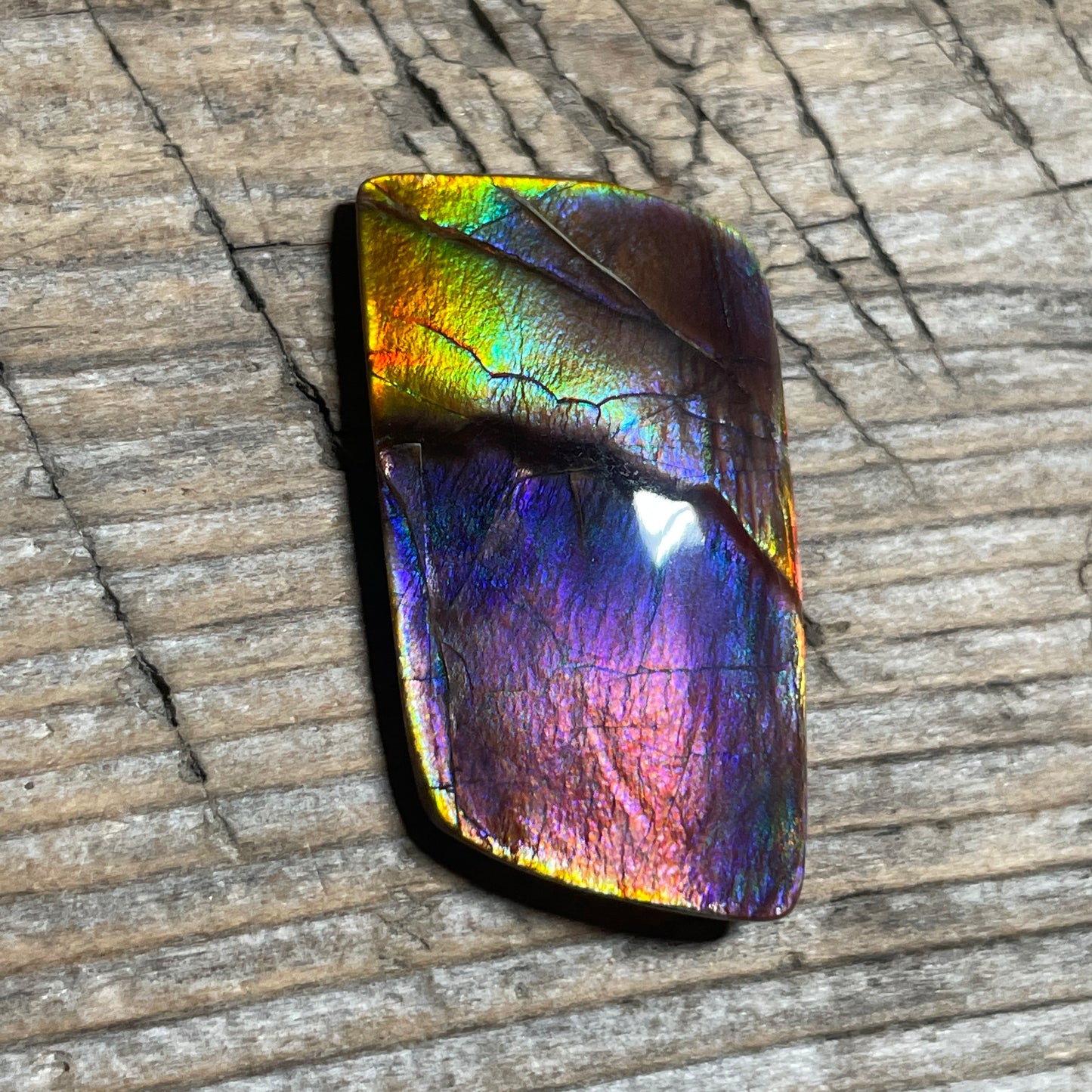 Collector's Special! Rare Pink Polished Ammolite Freeform Cabochon, Genuine Alberta Ammonite Gemstone