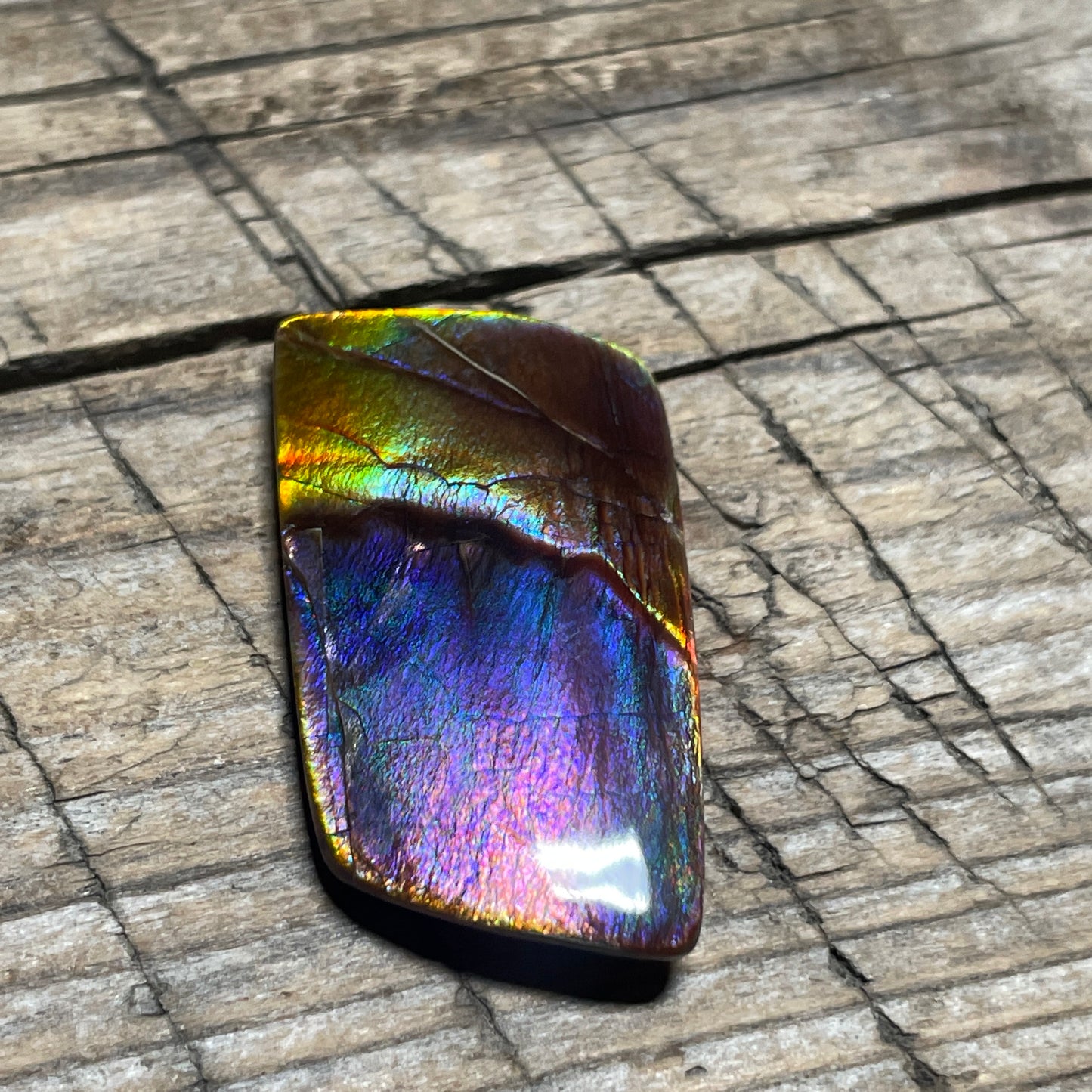 Collector's Special! Rare Pink Polished Ammolite Freeform Cabochon, Genuine Alberta Ammonite Gemstone