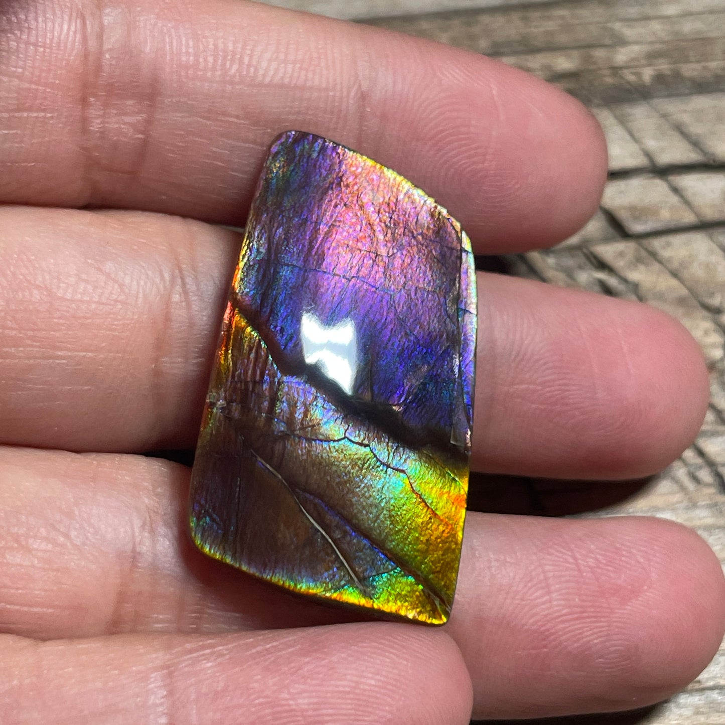 Collector's Special! Rare Pink Polished Ammolite Freeform Cabochon, Genuine Alberta Ammonite Gemstone