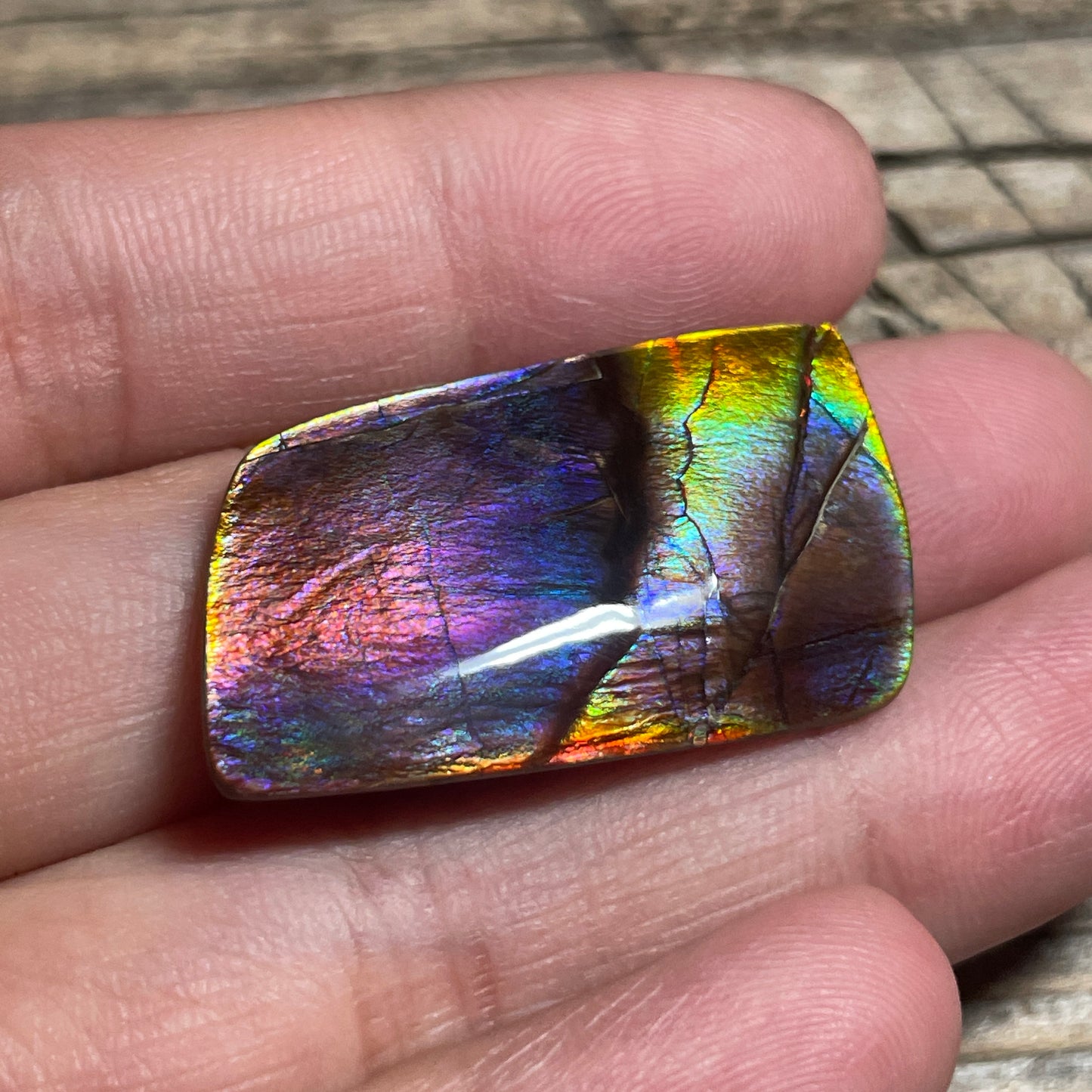 Collector's Special! Rare Pink Polished Ammolite Freeform Cabochon, Genuine Alberta Ammonite Gemstone