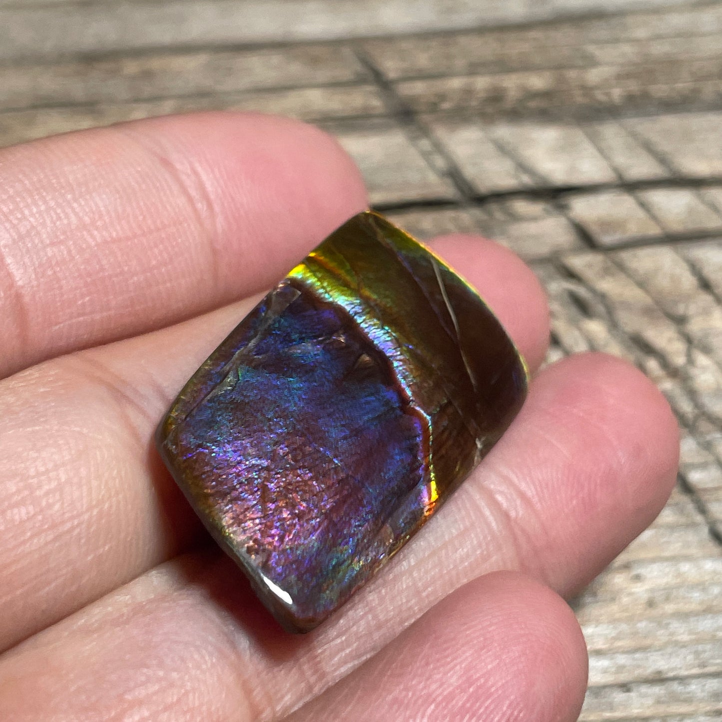 Collector's Special! Rare Pink Polished Ammolite Freeform Cabochon, Genuine Alberta Ammonite Gemstone