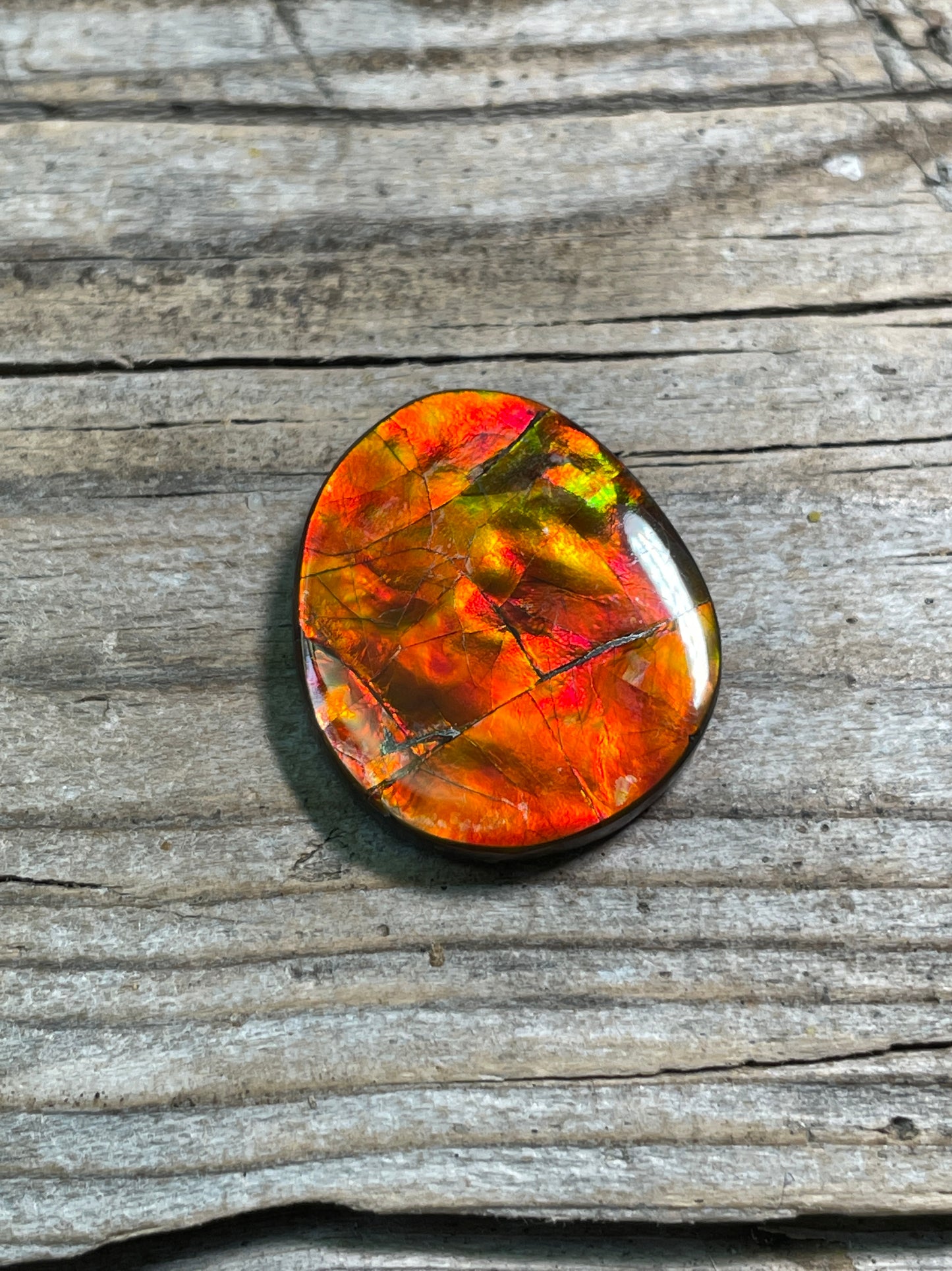 Imperial Double Sided Ammolite Gem Display Freeform