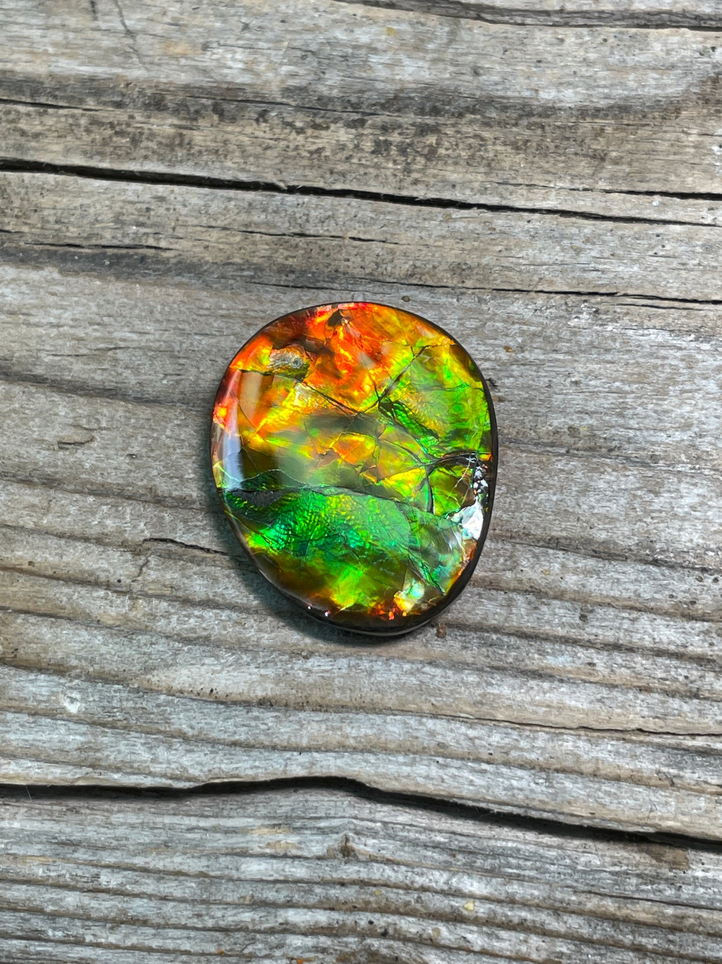 Imperial Double Sided Ammolite Gem Display Freeform