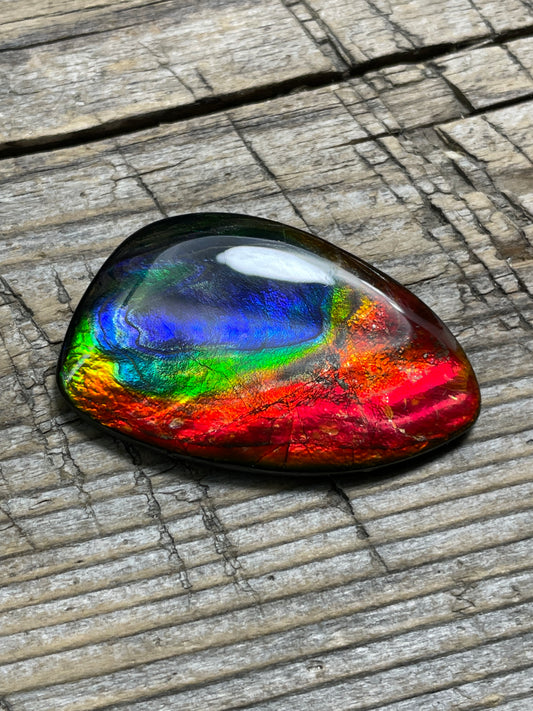 Rainbow Ammolite Gemstone Cabochon Freeform Canadian TSA1008  AA