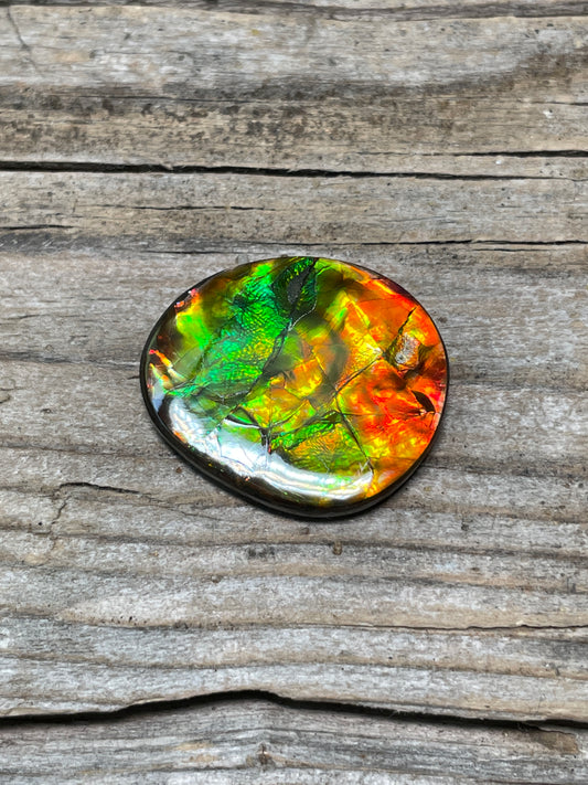 Imperial Double Sided Ammolite Gem Display Freeform