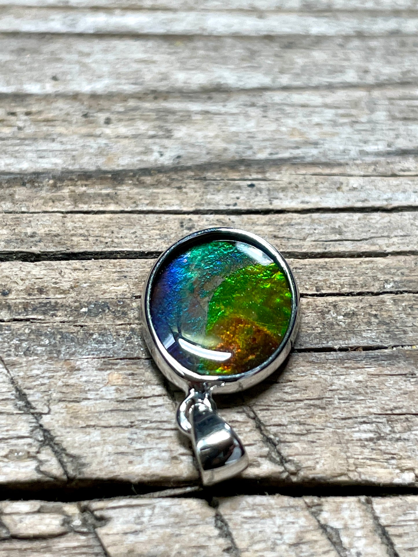 Ammonite Pendant Sterling 925 Silver Multicoloured TJ1005