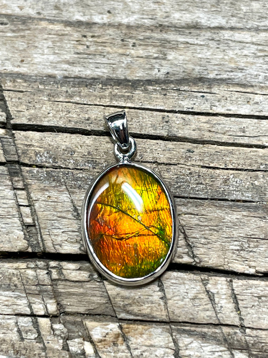 Ammonite Pendant Sterling 925 Silver Gold Red TJ1006
