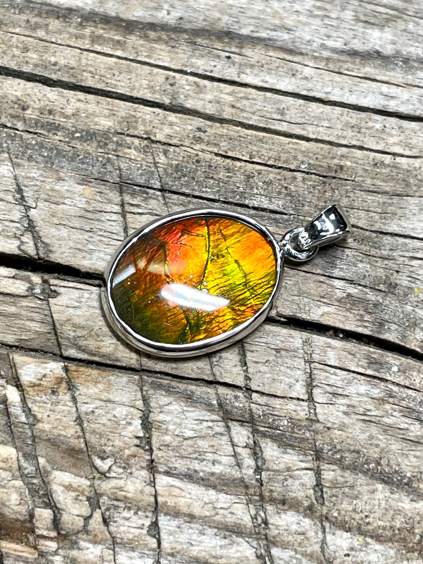 Ammonite Pendant Sterling 925 Silver Gold Red TJ1006