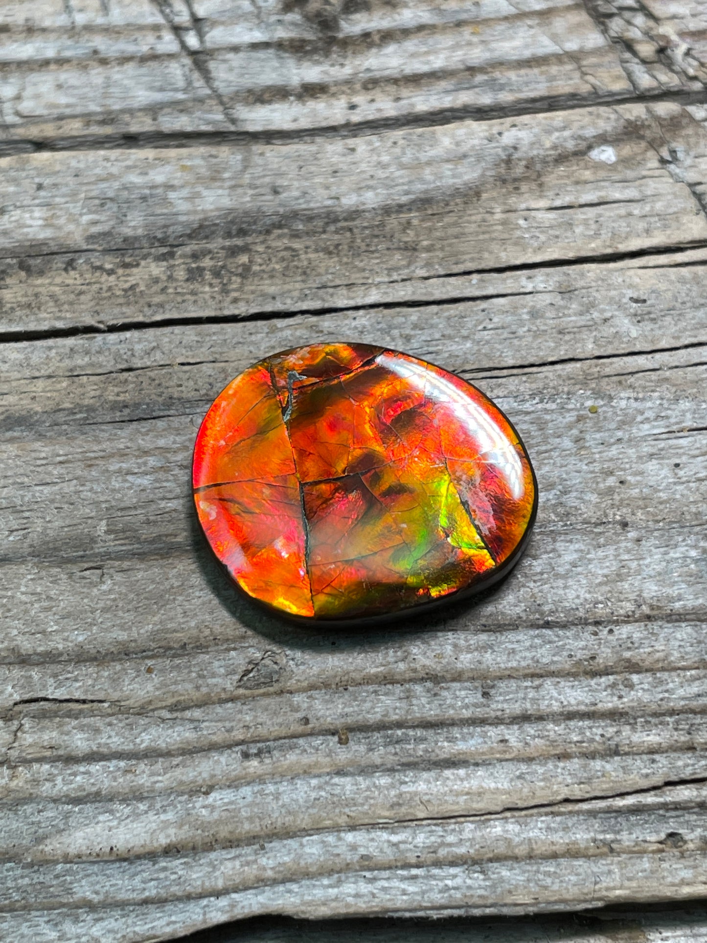 Imperial Double Sided Ammolite Gem Display Freeform