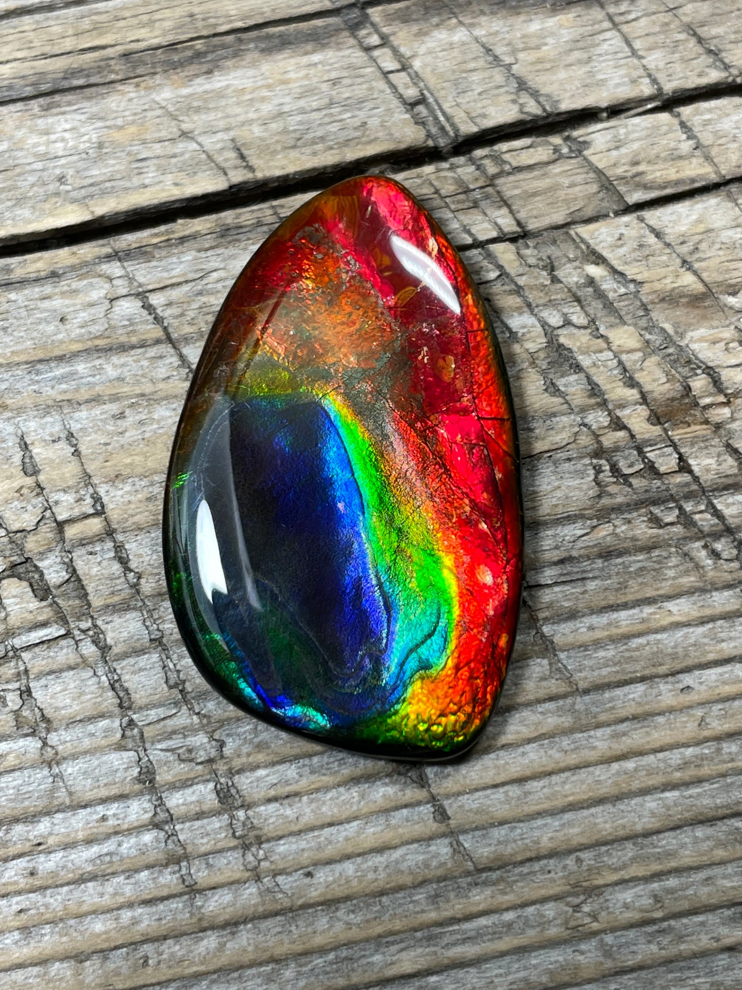 Rainbow Ammolite Gemstone Cabochon Freeform Canadian TSA1008  AA