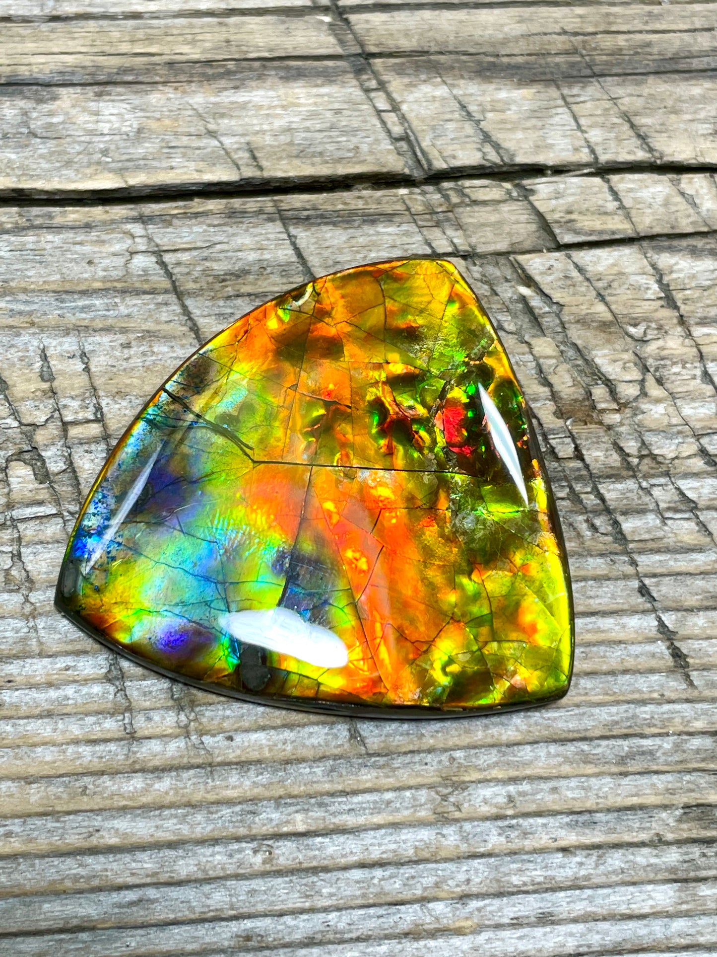 Rainbow Ammolite Freeform Gemstone Cabochon TSA1010 AA＋