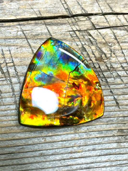 Rainbow Ammolite Freeform Gemstone Cabochon TSA1010 AA＋