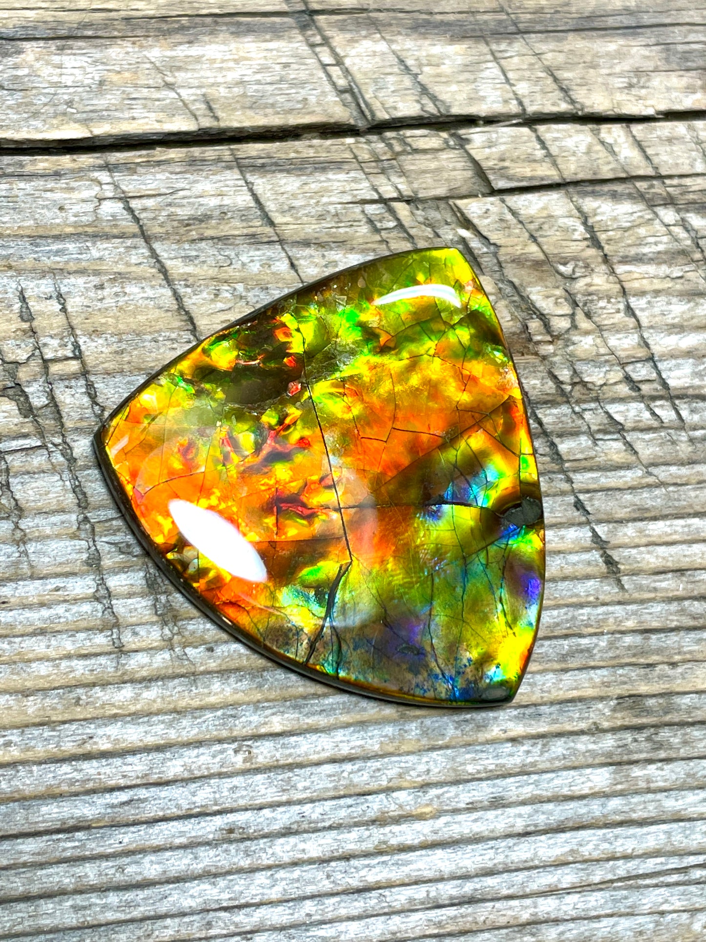 Rainbow Ammolite Freeform Gemstone Cabochon TSA1010 AA＋