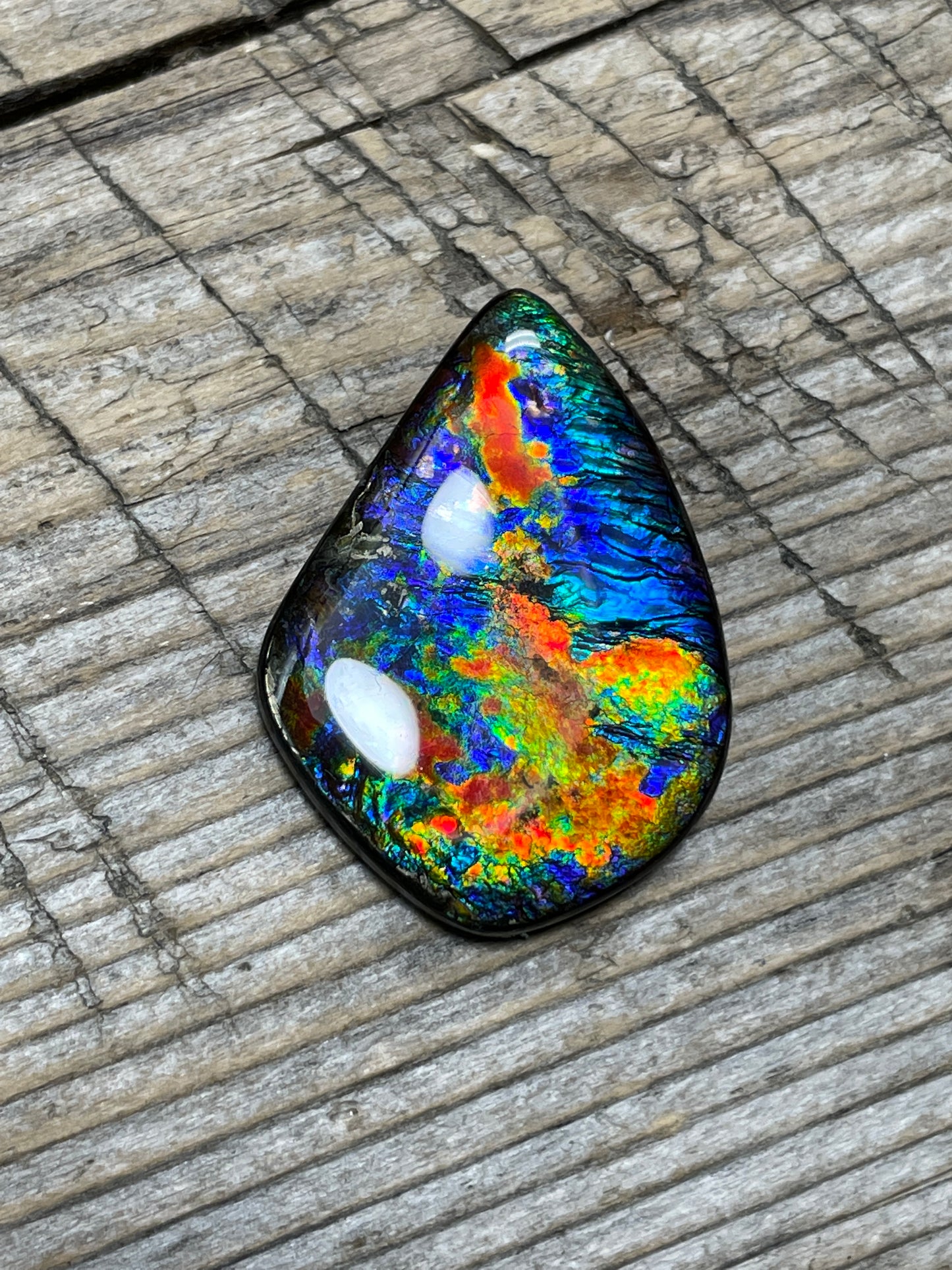 Rare Floral Ammolite Gemstone Natural Freeform TSA1011  AAA