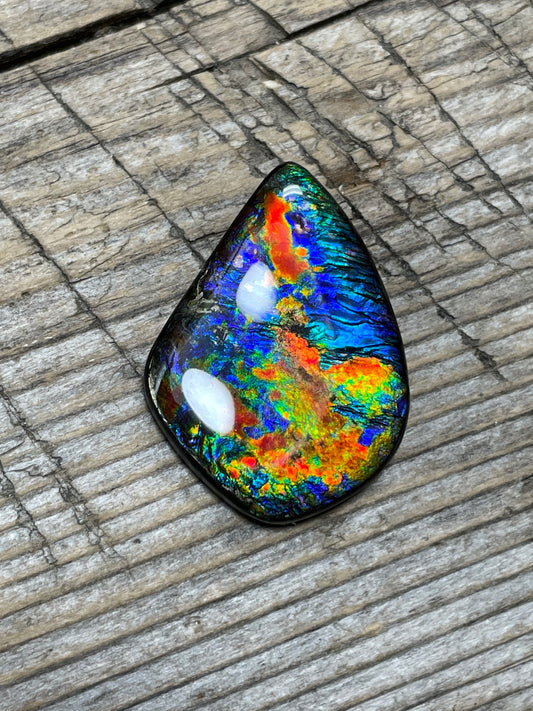 Rare Floral Ammolite Gemstone Natural Freeform TSA1011  AAA